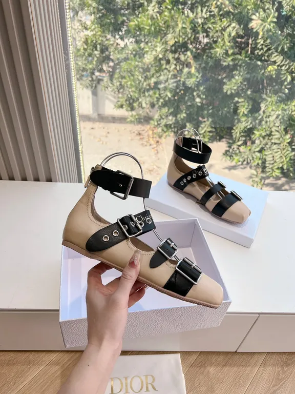 Dior Shoe 